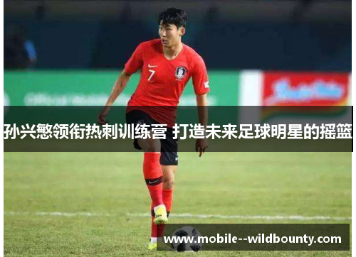 孙兴慜领衔热刺训练营 打造未来足球明星的摇篮