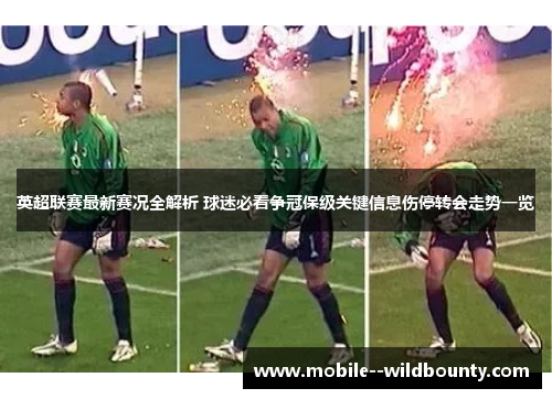 英超联赛最新赛况全解析 球迷必看争冠保级关键信息伤停转会走势一览