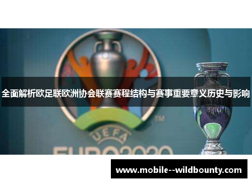 全面解析欧足联欧洲协会联赛赛程结构与赛事重要意义历史与影响