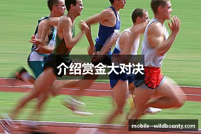 介绍赏金大对决